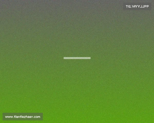 国际赛事管理规程核心内容与实施策略全面指南